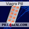 Viagra Pill 26